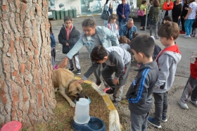 İLKOKUL Foto Galeri